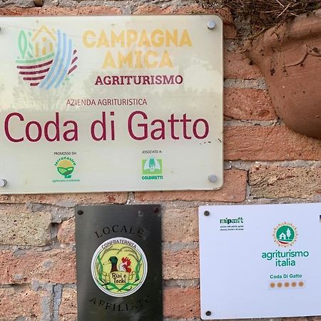 Agriturismo Coda Di Gatto Eraclea Ngoại thất bức ảnh