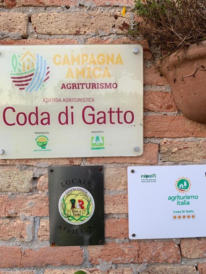 Agriturismo Coda Di Gatto Eraclea Ngoại thất bức ảnh